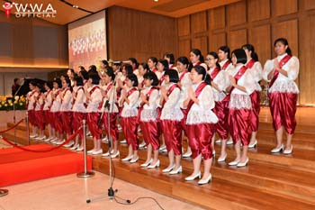 Cat Walk_190904_0082
